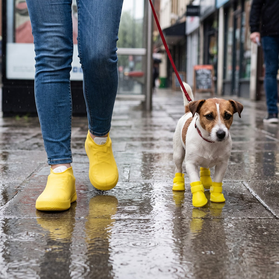 Dog boots in five sizes from small to extra large